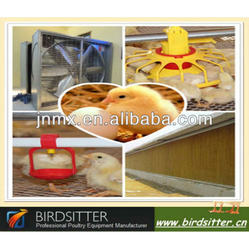 Ready Sale Automatische Geflügel Ausrüstung für Broiler und Huhn